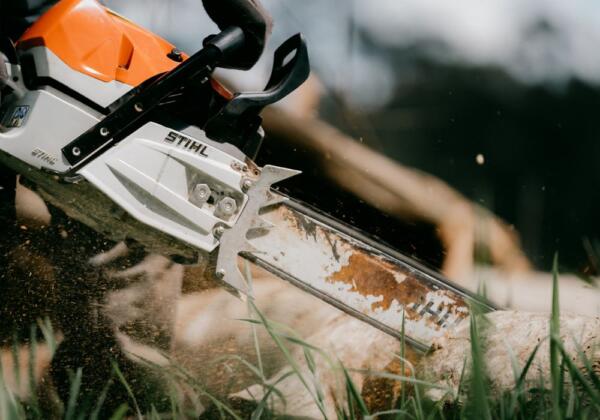 Tree-service-cutting-mulching-geelong-1000x700